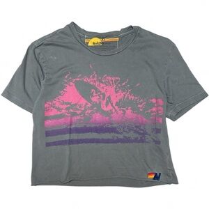 Aviator Nation Charcoal Graphic Tee